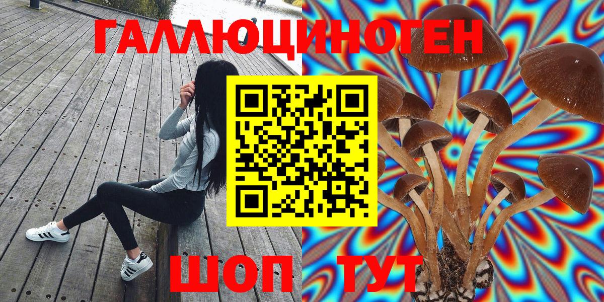 Псилоцибиновые грибы Magic Shrooms  Вход с VPN  Энгельс 